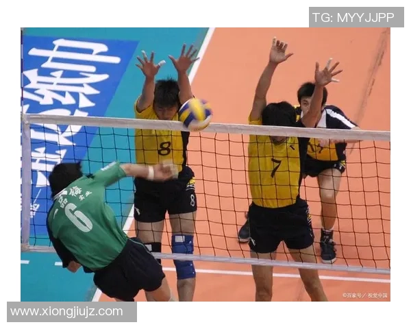 武汉排球队的奋斗与荣耀:一段不平凡的排球纪实之旅